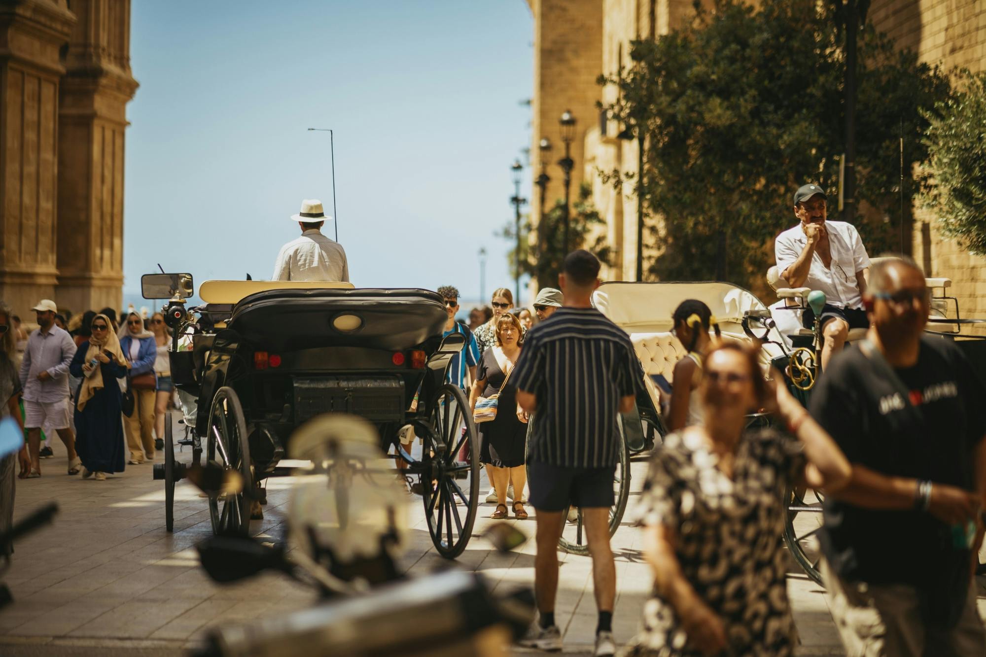 Palma tours with cathedral and Valldemossa options