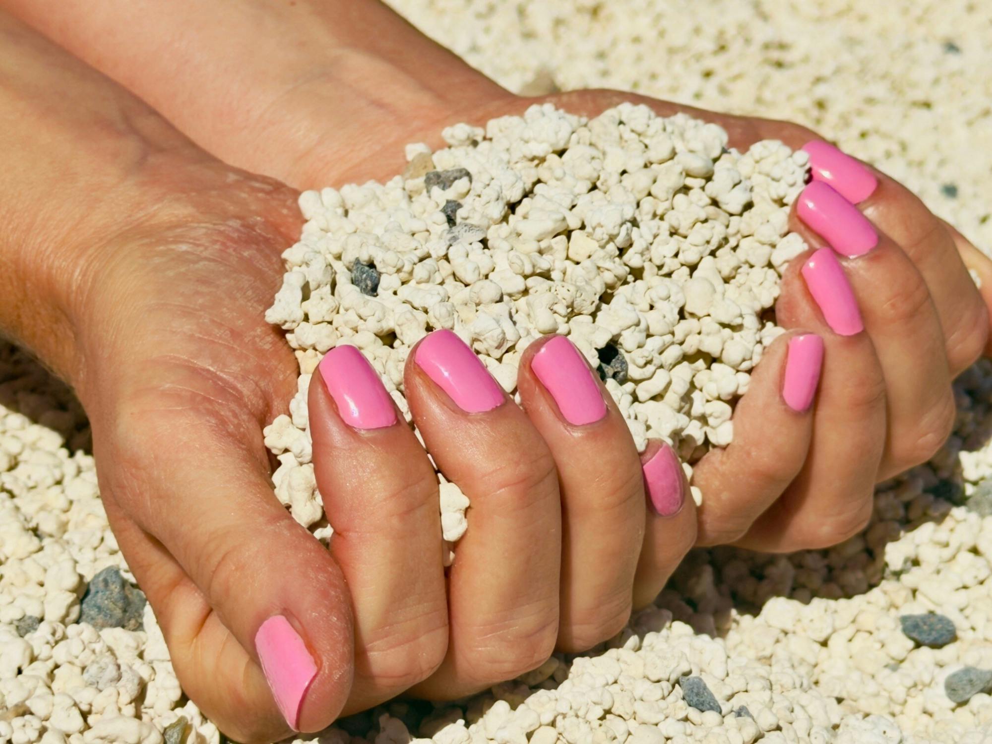 Wild north and Corralejo small-group tour from the south