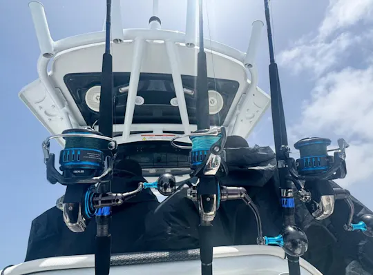 Boa Vista deep-sea fishing experience