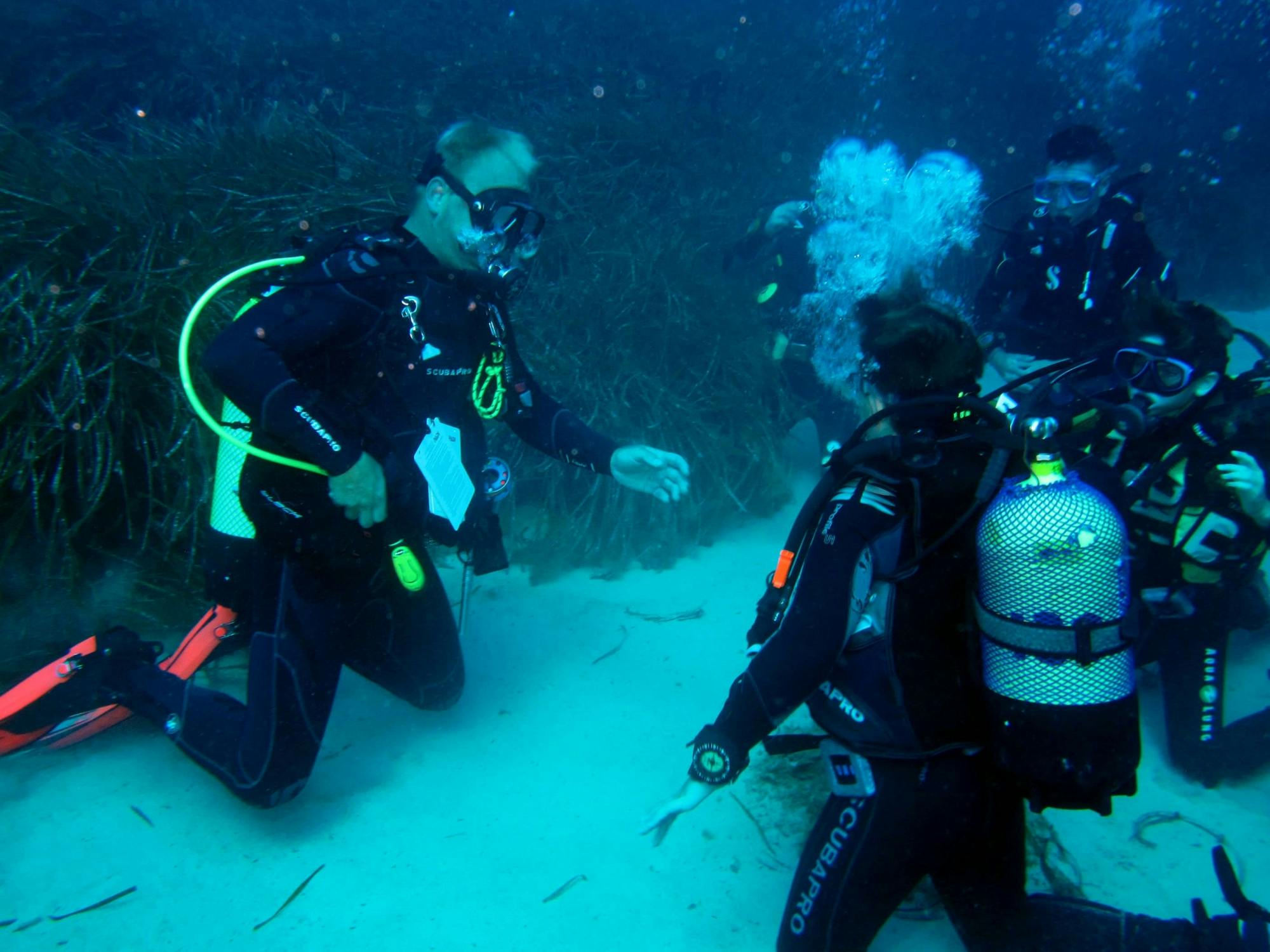 Discover scuba diving by boat with Skualo Portocolom