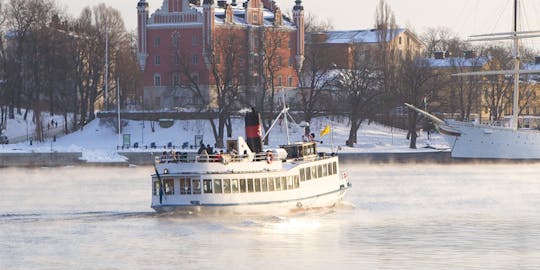 Excursion hivernale en bateau dans l'archipel de Stockholm avec guide - 