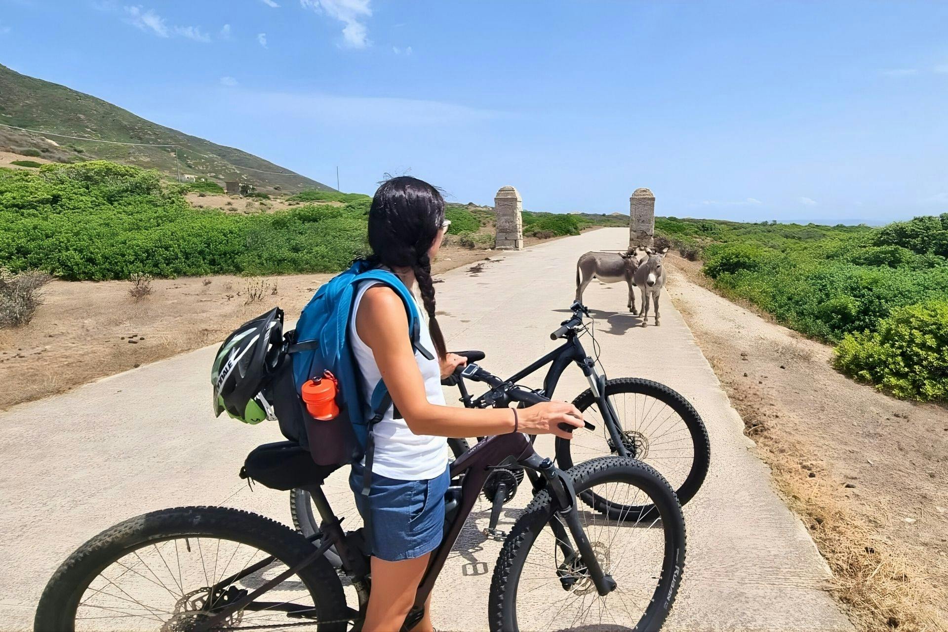 E-Bike-Verleih auf der Insel Asinara in Porto Torres