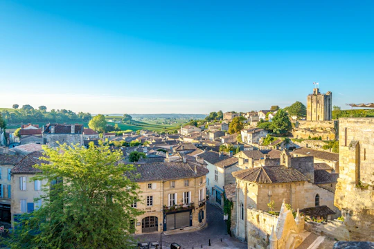 Saint-Emilion vineyards e-bike tour and wine tasting