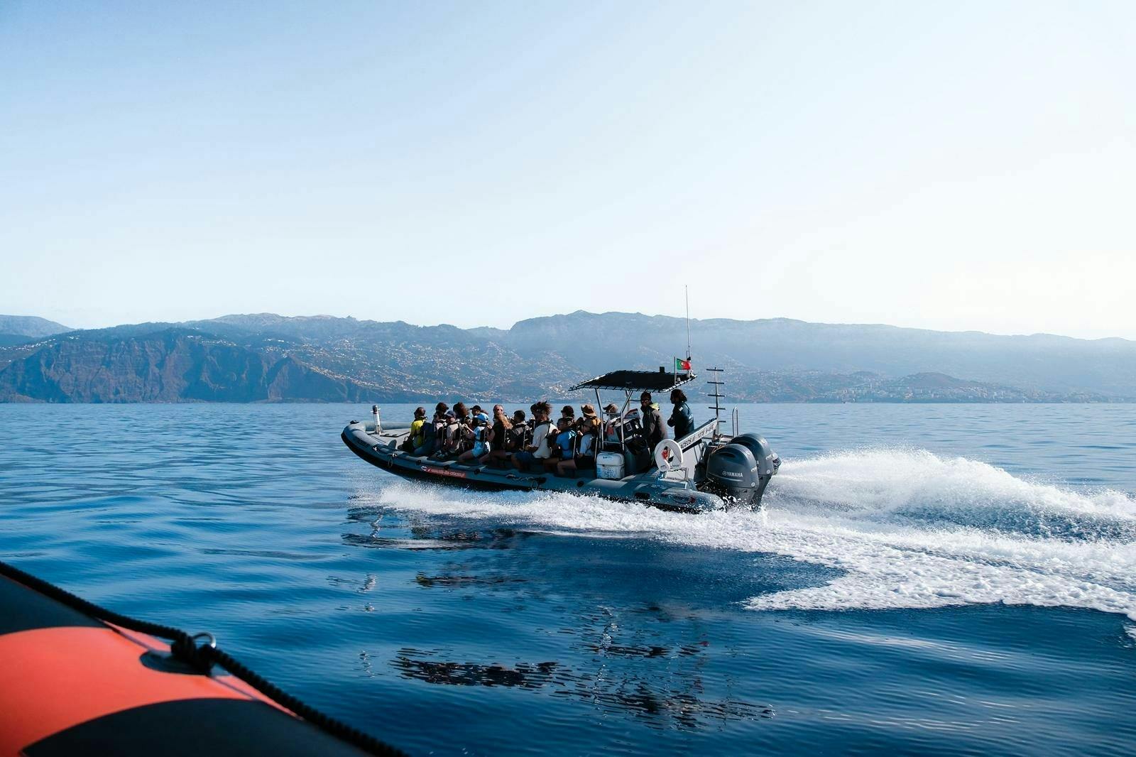 Ticket für eine Delfin- und Walbeobachtungstour mit dem Schnellboot