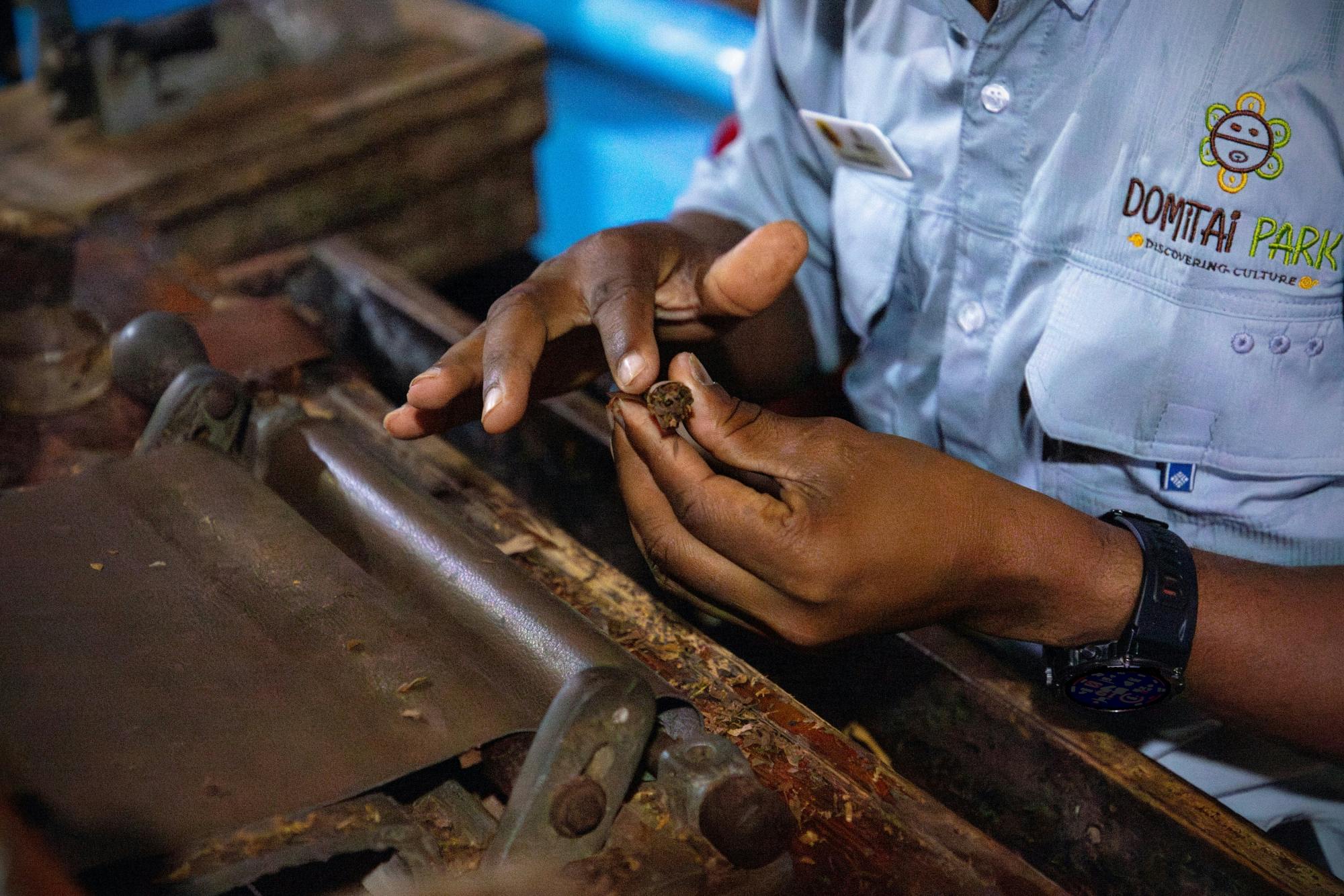 Punta Cana evening buggy tour with Dominican dinner