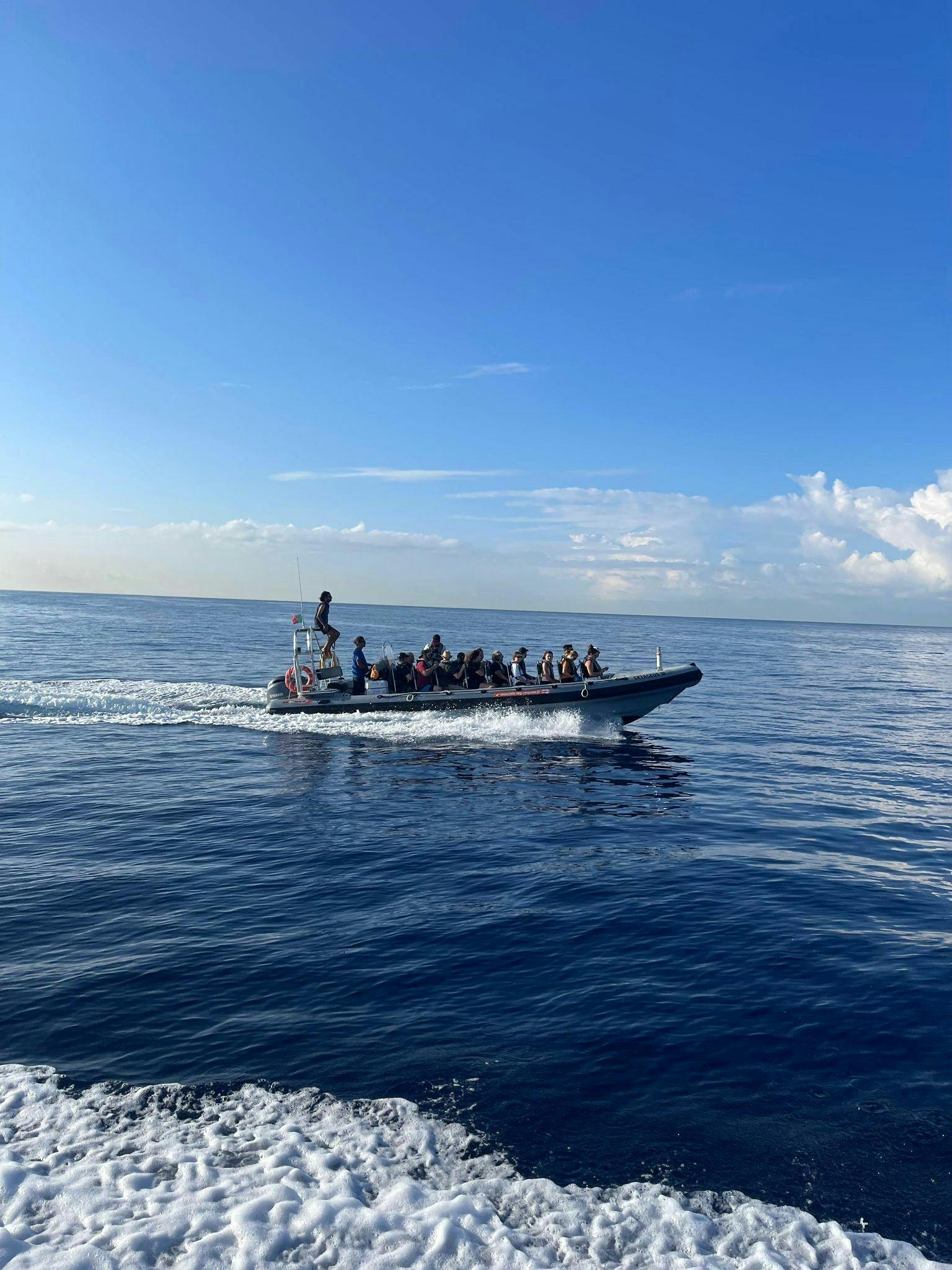 Dolphin and whale watching speedboat tour ticket