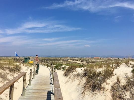 Algarve four-island cruise in Ria Formosa Natural Park ticket