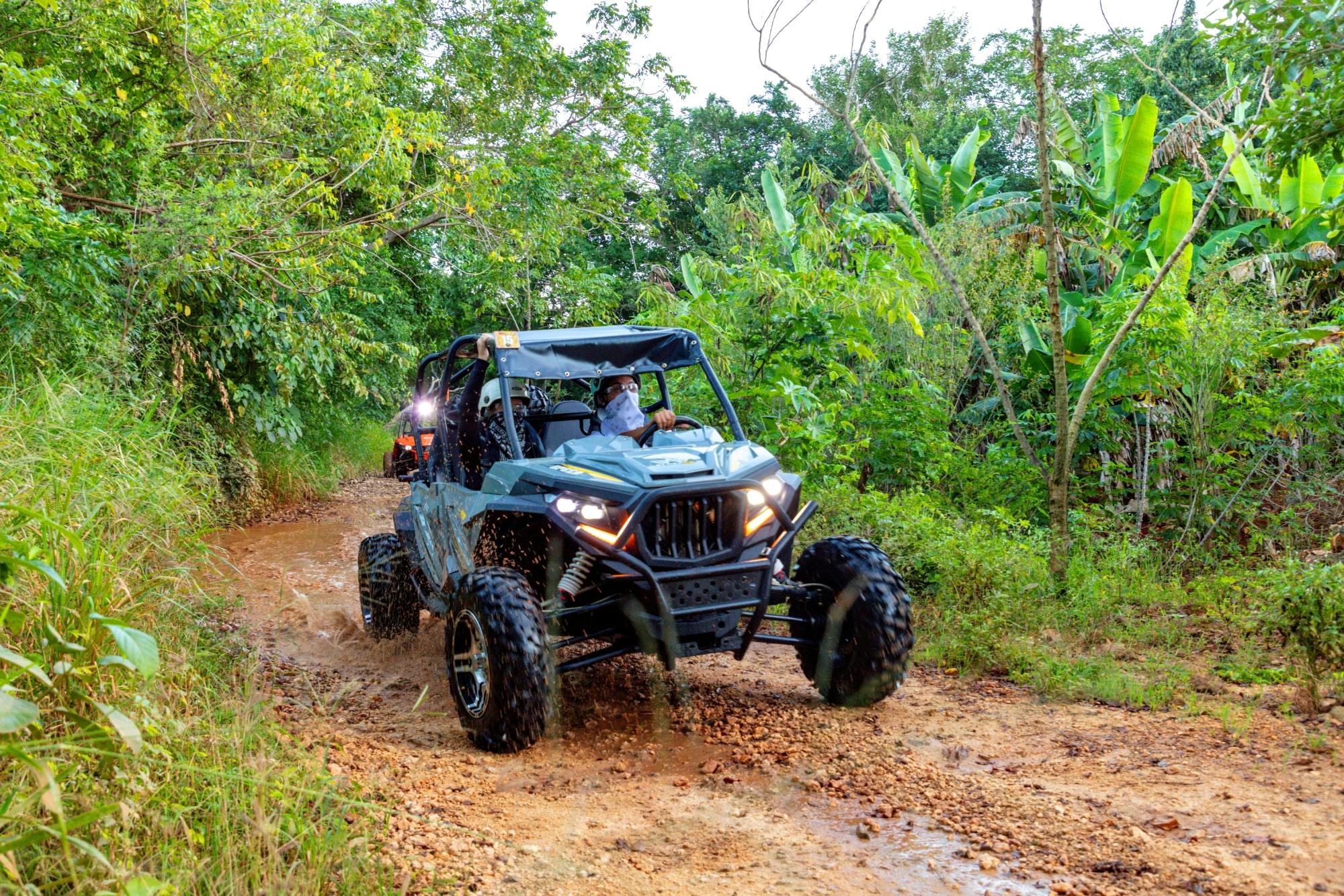 Punta Cana evening buggy tour with Dominican dinner