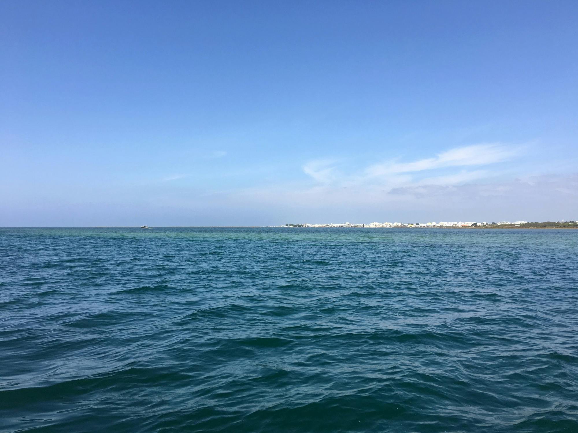 Algarve four-island cruise in Ria Formosa Natural Park