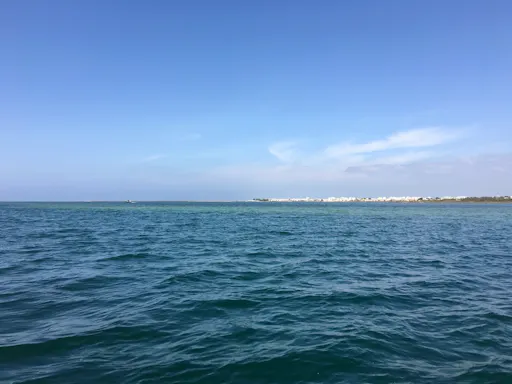 Algarve four-island cruise in Ria Formosa Natural Park