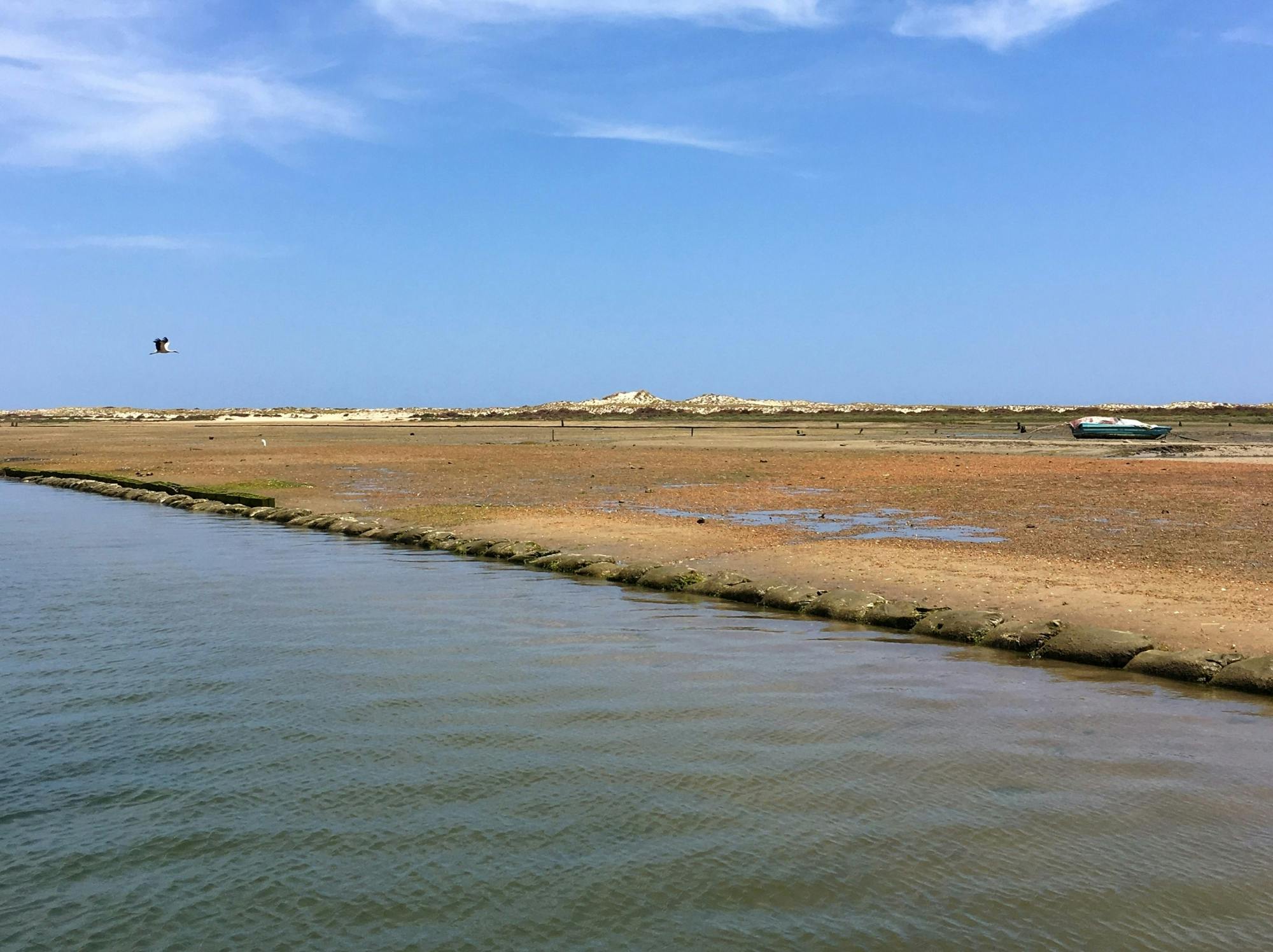 Algarve four-island cruise in Ria Formosa Natural Park