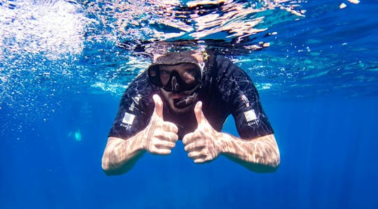 Excursão individual de snorkeling em lancha rápida em Maiorca