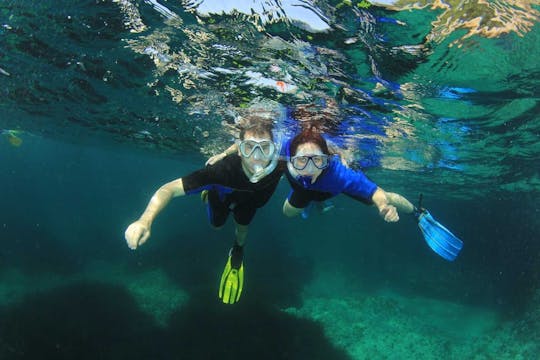 Mallorca dip and dive snorkelling and diving experience - 