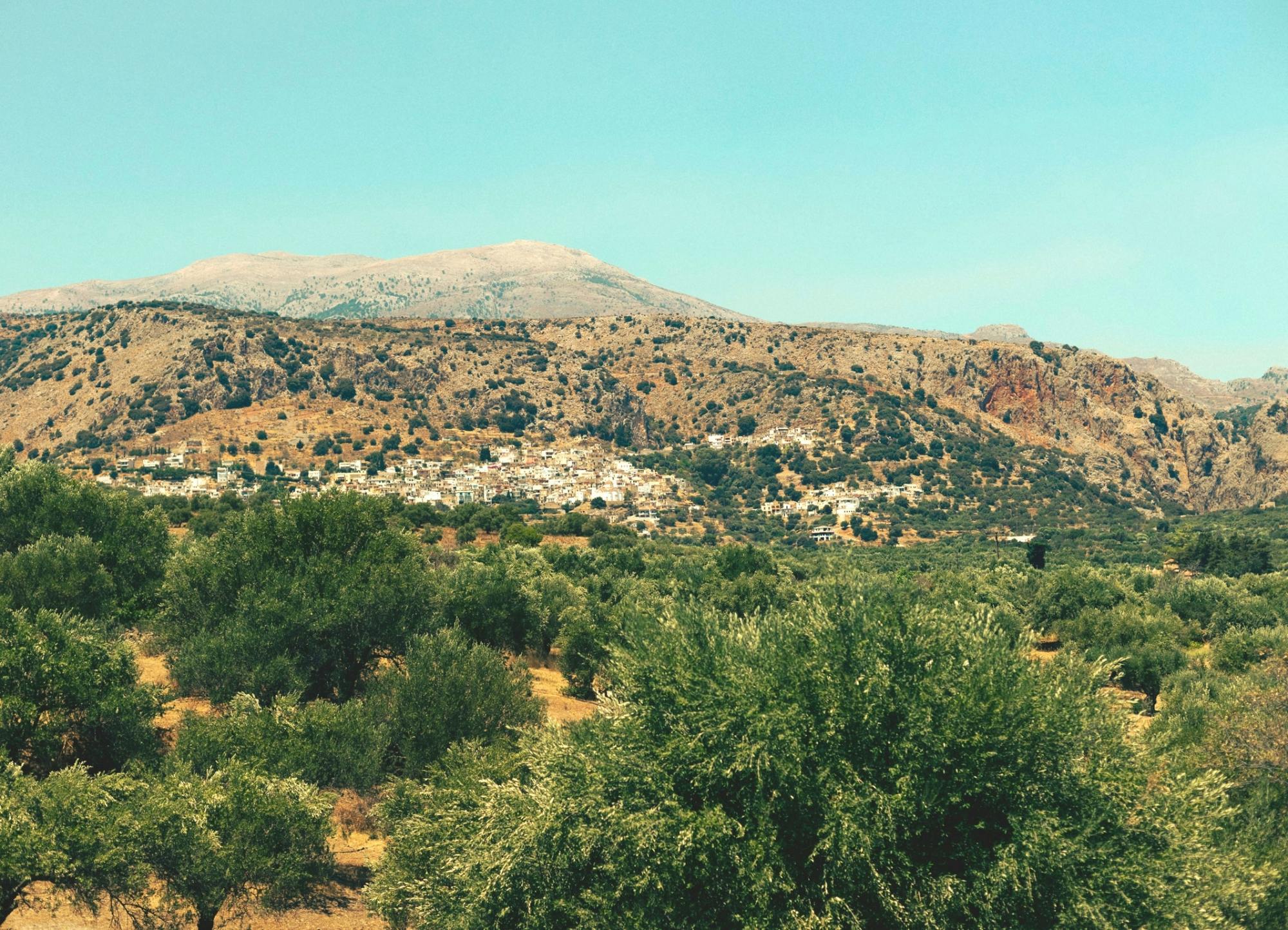 The Olive Trail - Hiking, Olive Oil Tasting and Cooking Demonstration