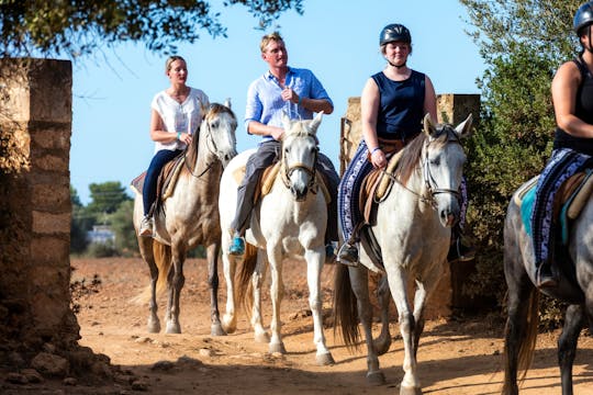 Son Angel advanced horseback riding experience with transfer