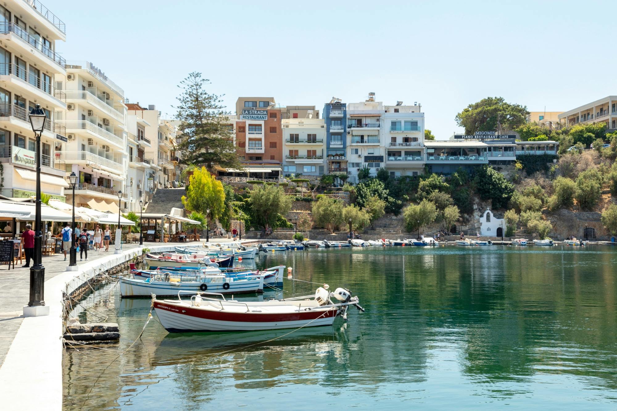 The Olive Trail - Hiking, Olive Oil Tasting and Cooking Demonstration