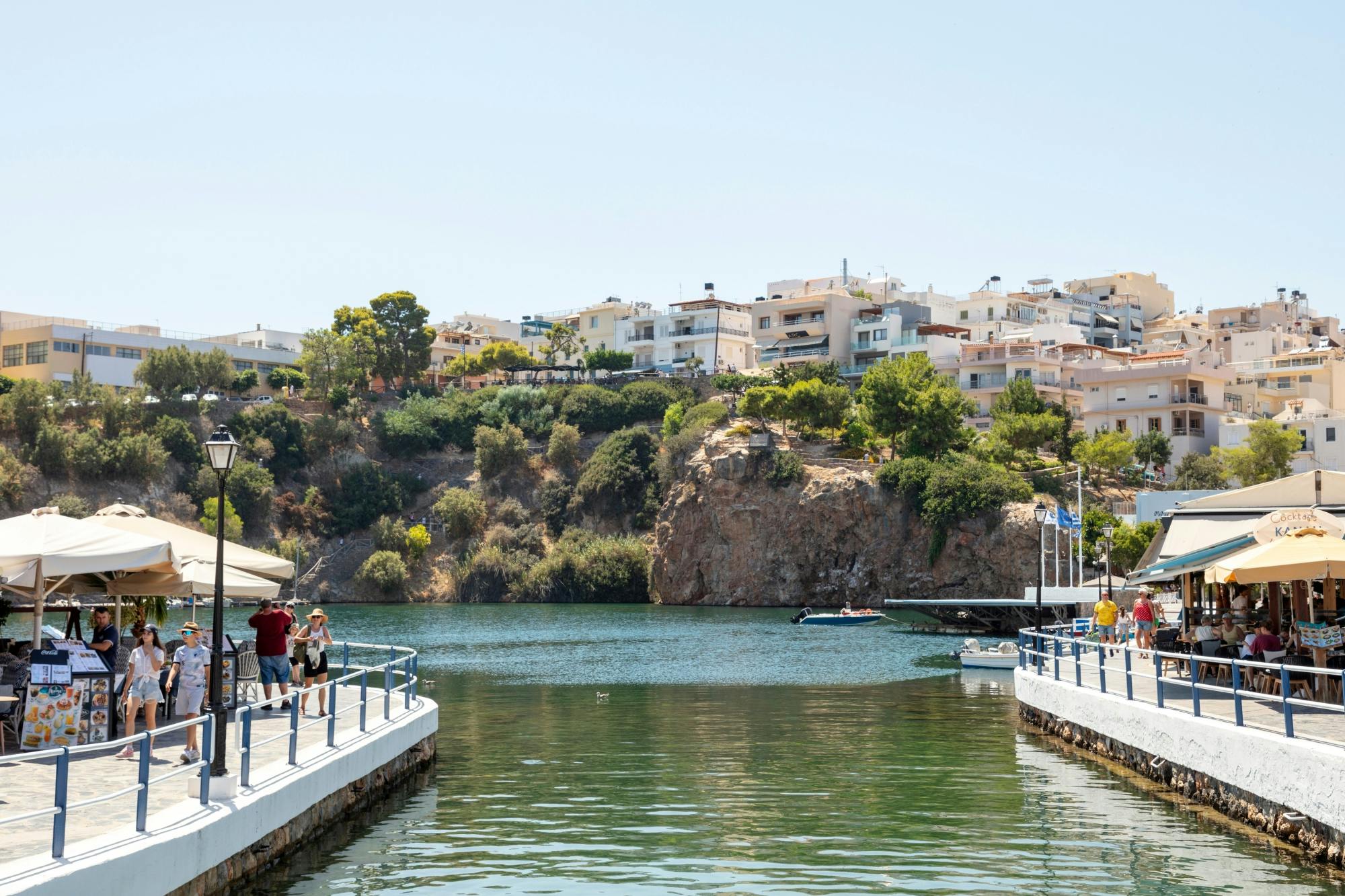 The Olive Trail - Hiking, Olive Oil Tasting and Cooking Demonstration