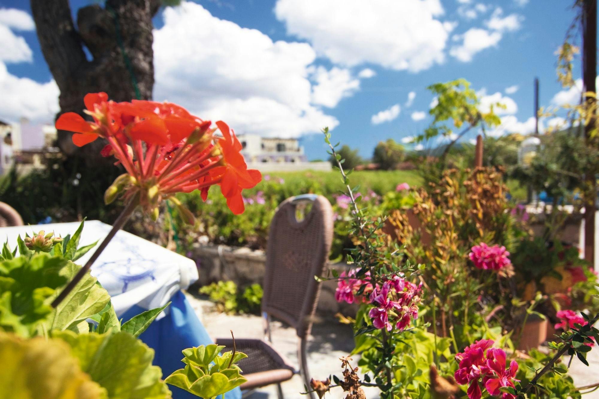 Taste of Zante tour with market, local delicacies and lunch