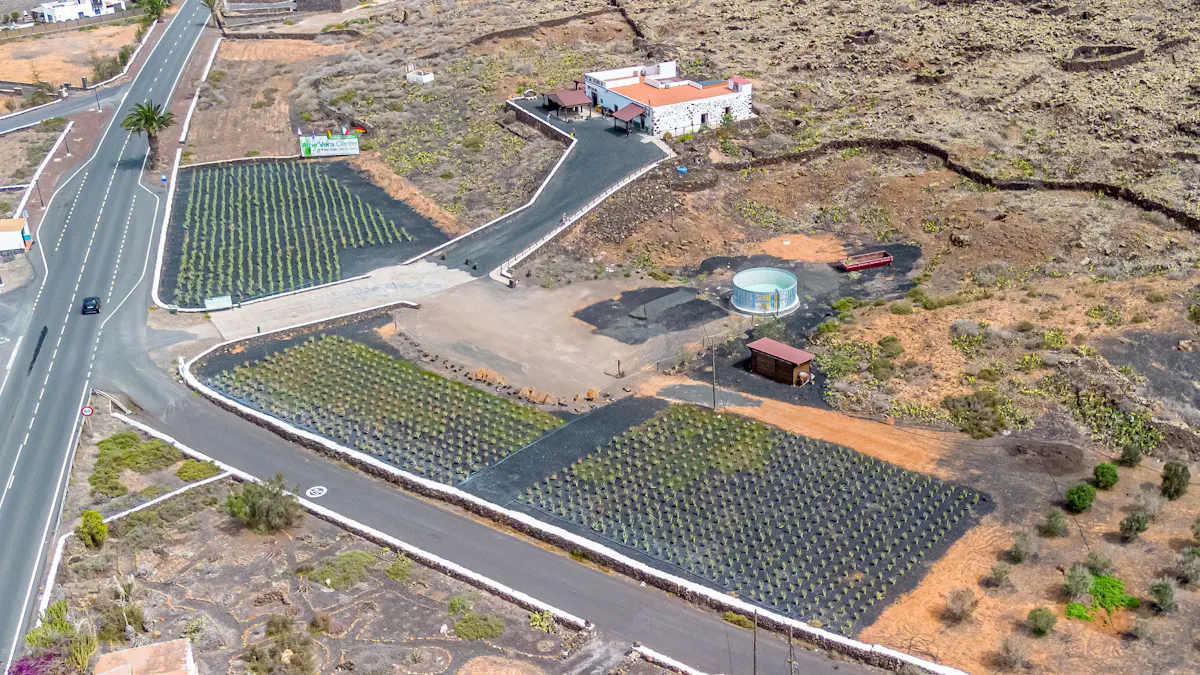 Exclusive El Cotillo-guest tour of Fuerteventura