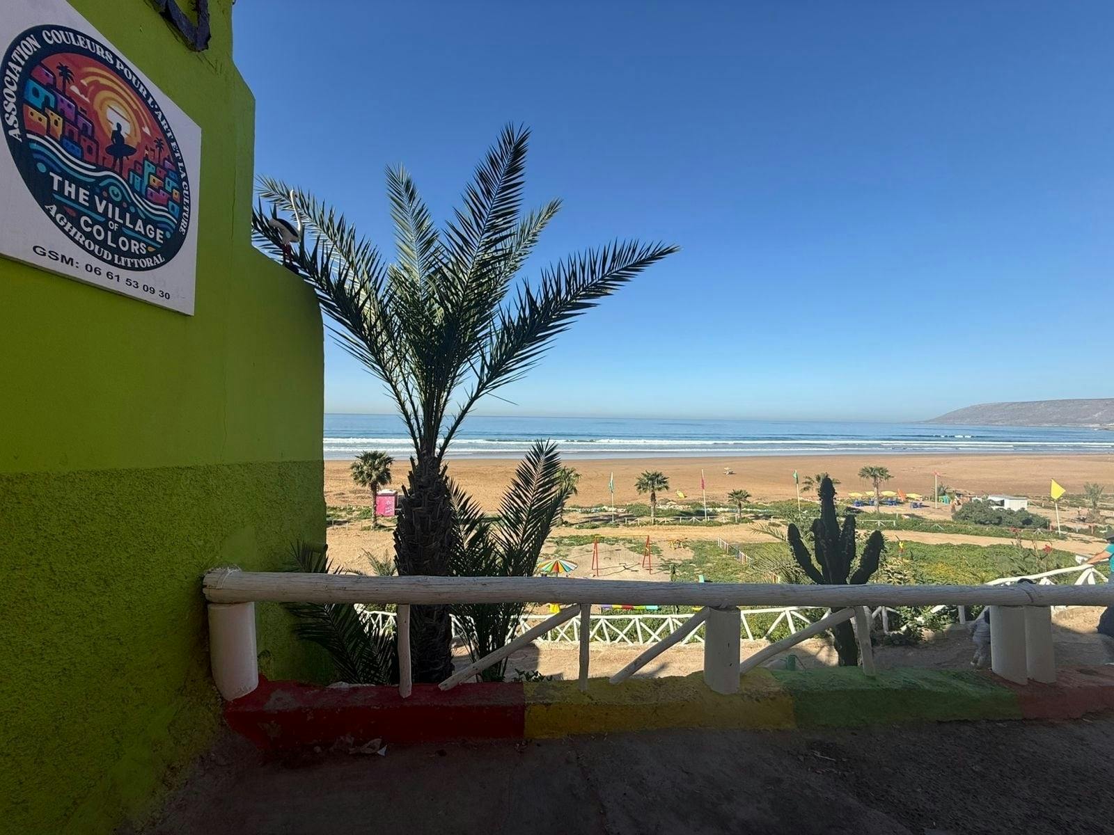 Private full-day tour of Essaouira with a local guide and lunch