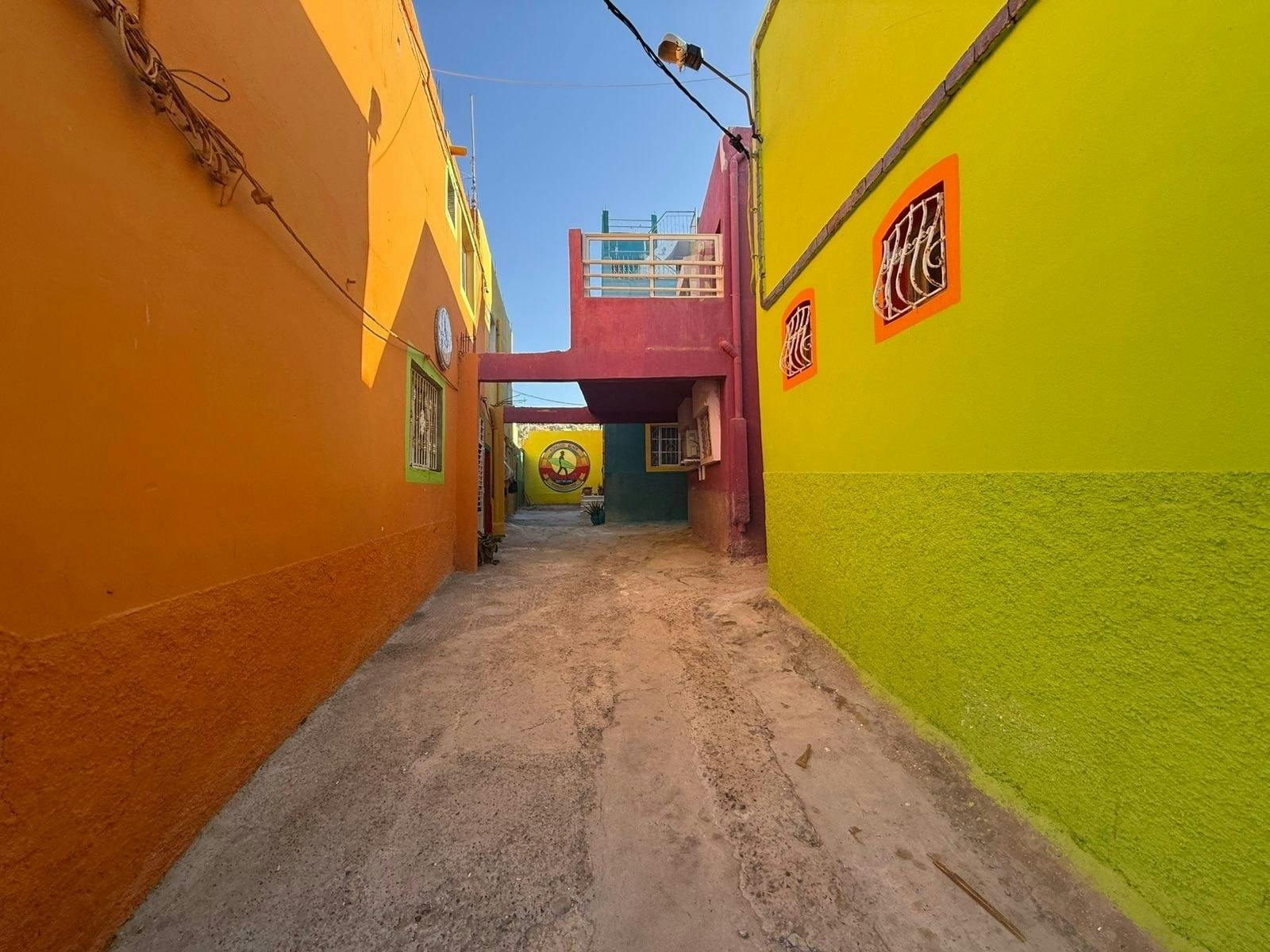 Private full-day tour of Essaouira with a local guide and lunch