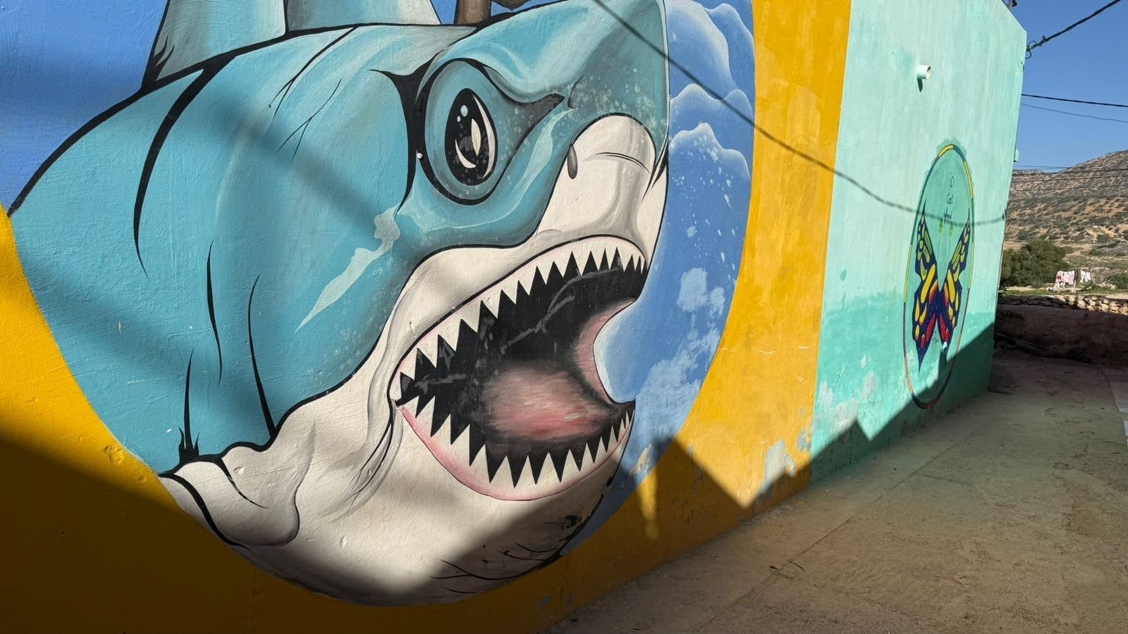 Private full-day tour of Essaouira with a local guide and lunch