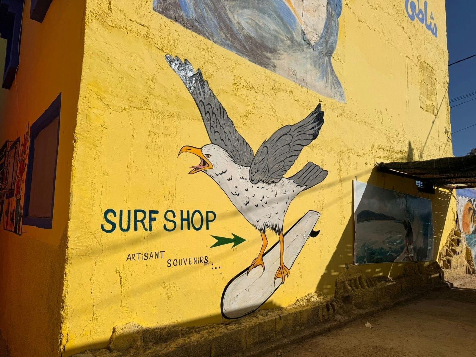 Private full-day tour of Essaouira with a local guide and lunch