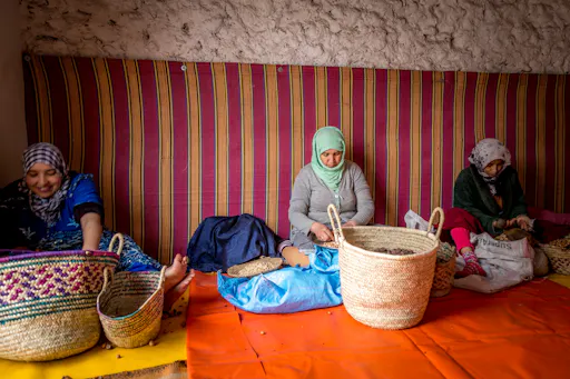 Private full-day tour of Essaouira with a local guide and lunch