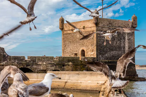 Private full-day tour of Essaouira with a local guide and lunch