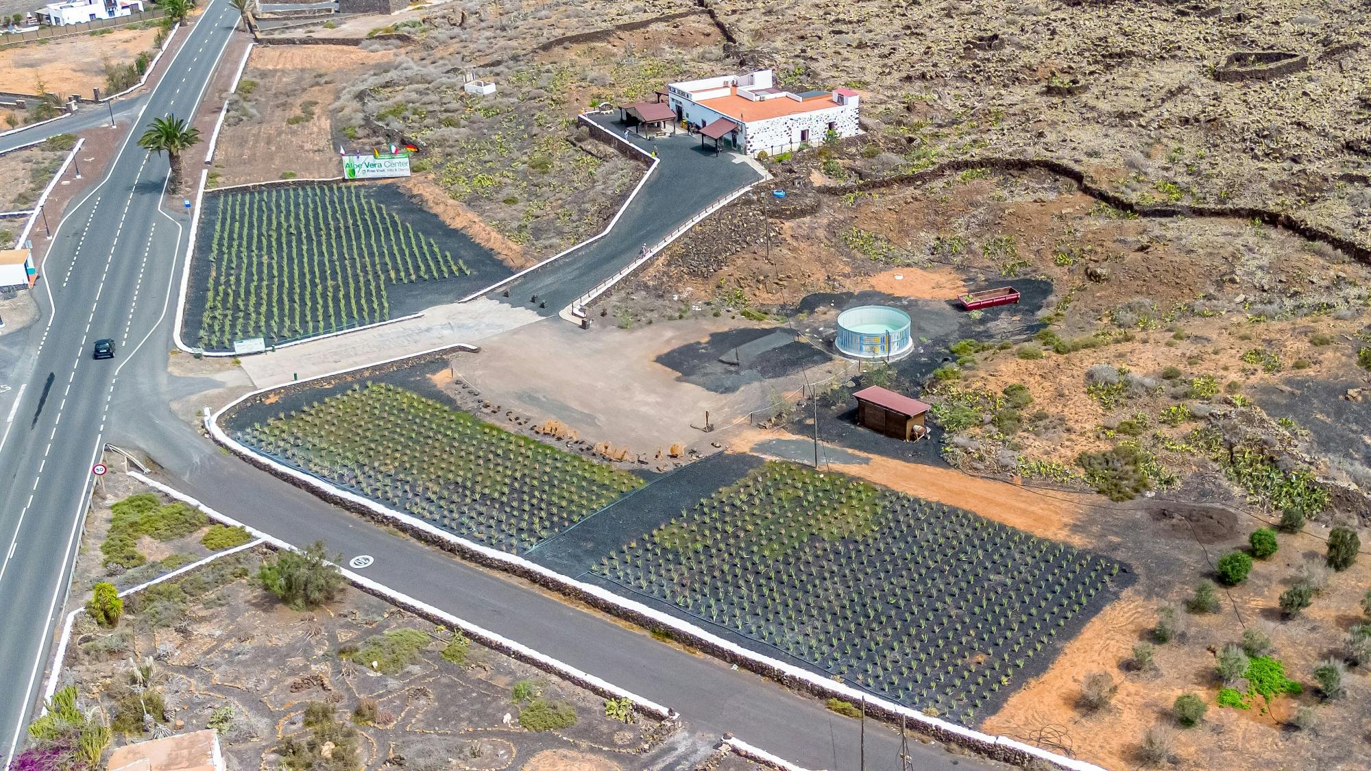 Exclusive El Cotillo-guest tour of Fuerteventura