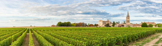 Bordeaux wine tour with chateau visit and tasting