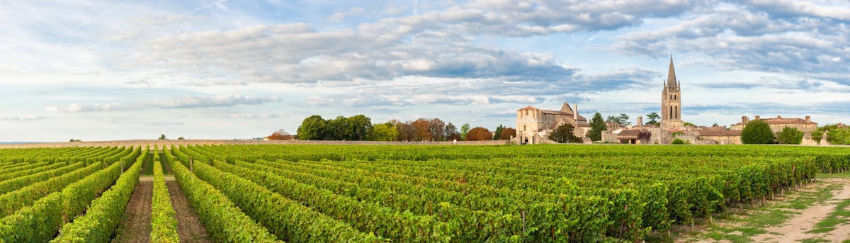 Bordeaux wijntour met kasteelbezoek en proeverij