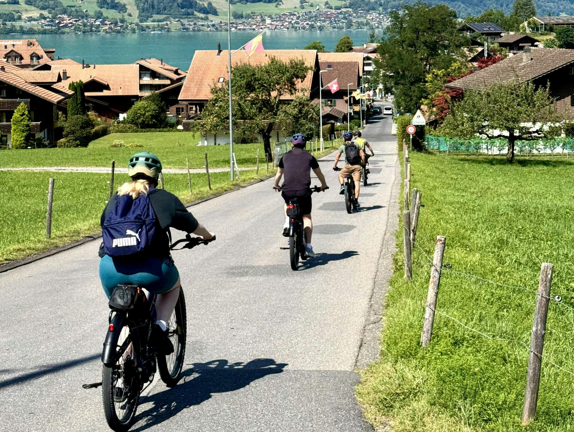 Excursión de medio día en bicicleta eléctrica a Iseltwald y Giessbach