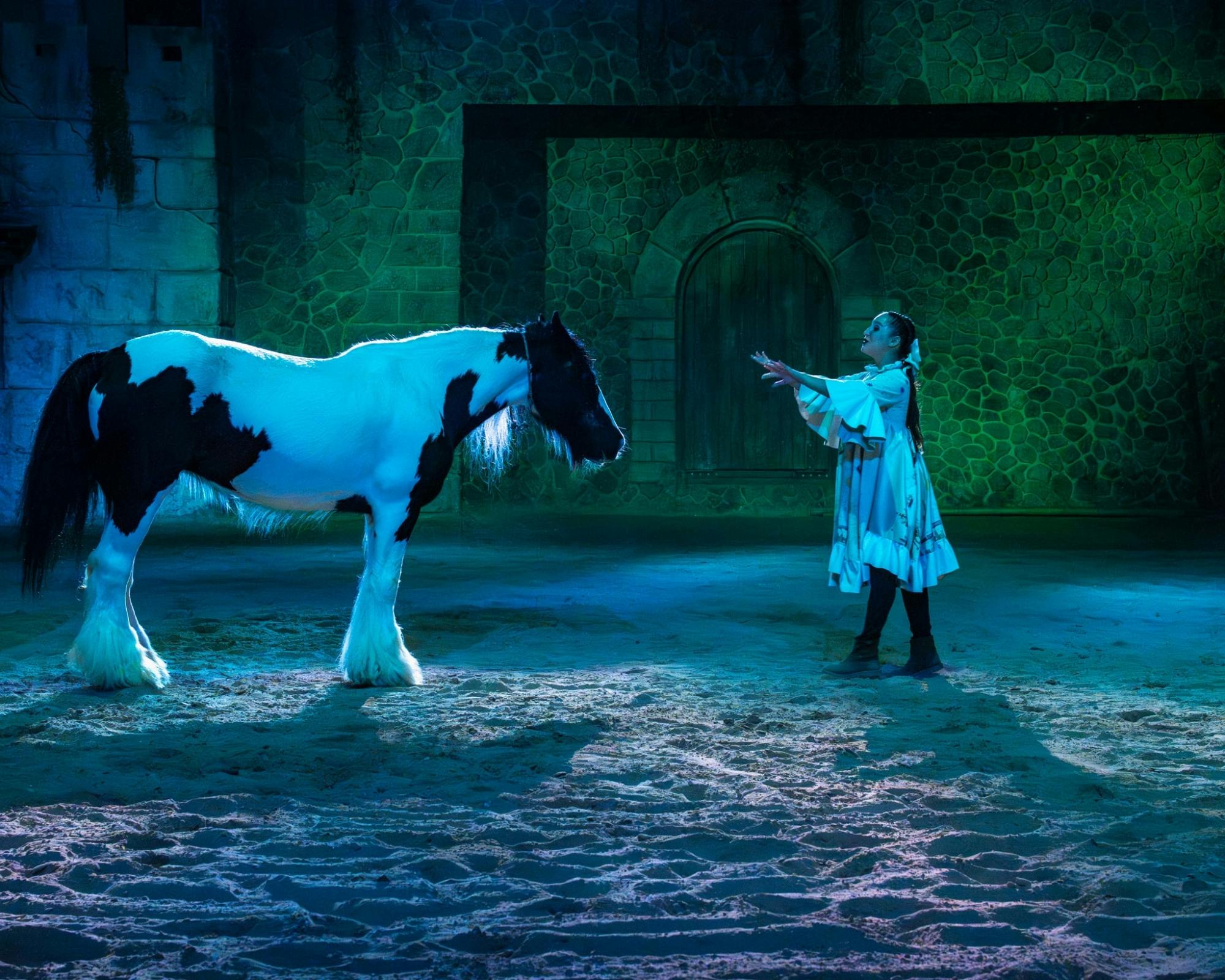 Dominican Republic Travesia World Show at PANACA with evening fiesta