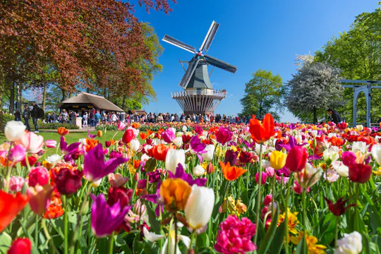 Transfer i wstęp do Keukenhof z elastycznym powrotem