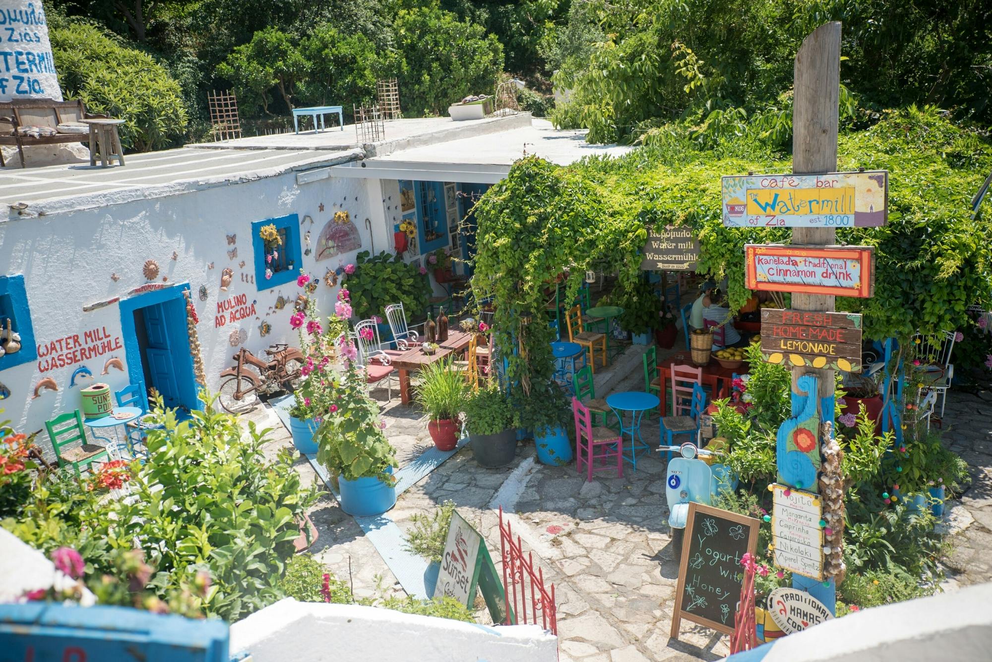 Kefalos and Zia tour including wine and honey tastings