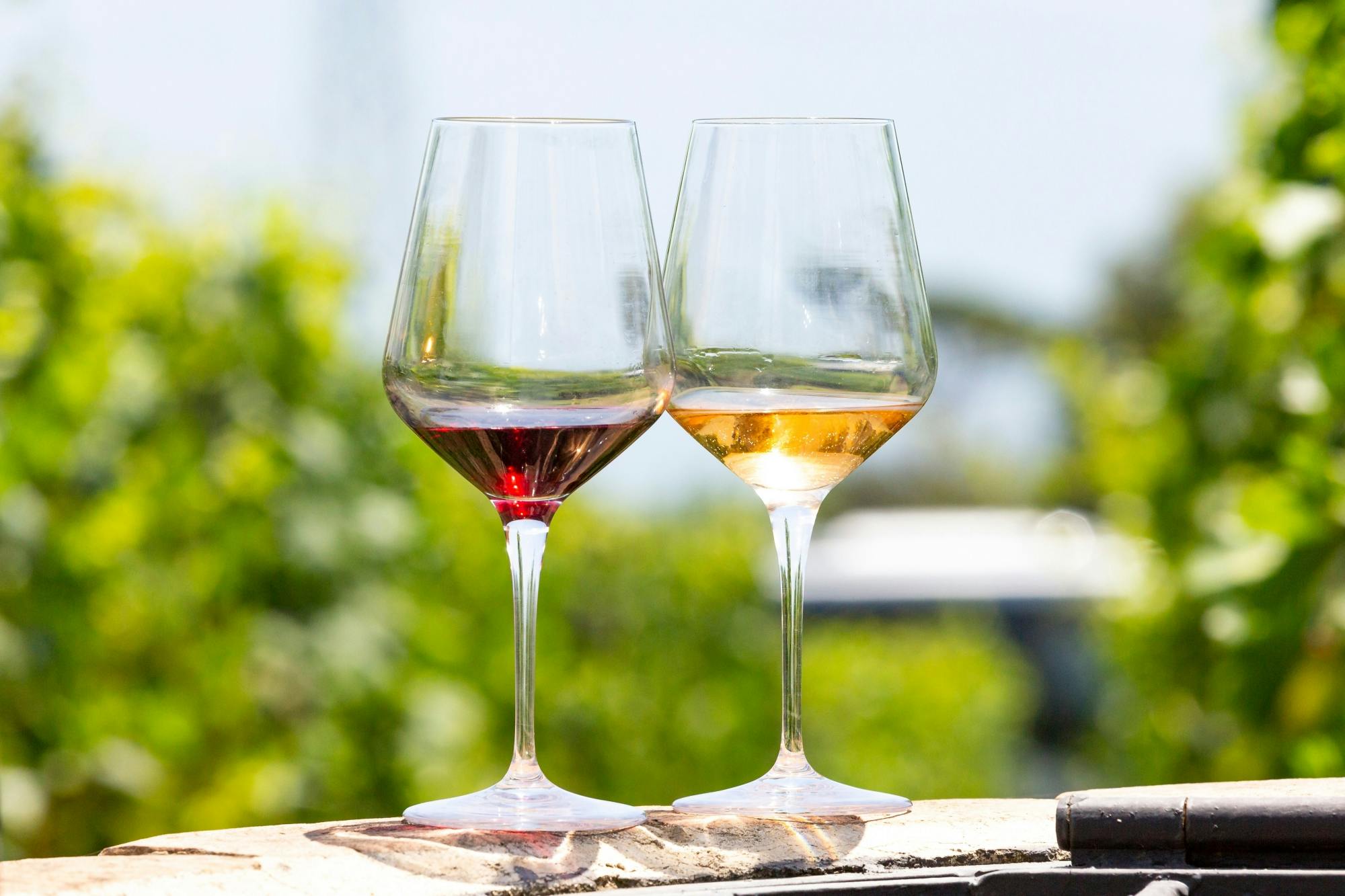 Guided tour of Kos Town, Asclepeion and Zia with wine-tasting