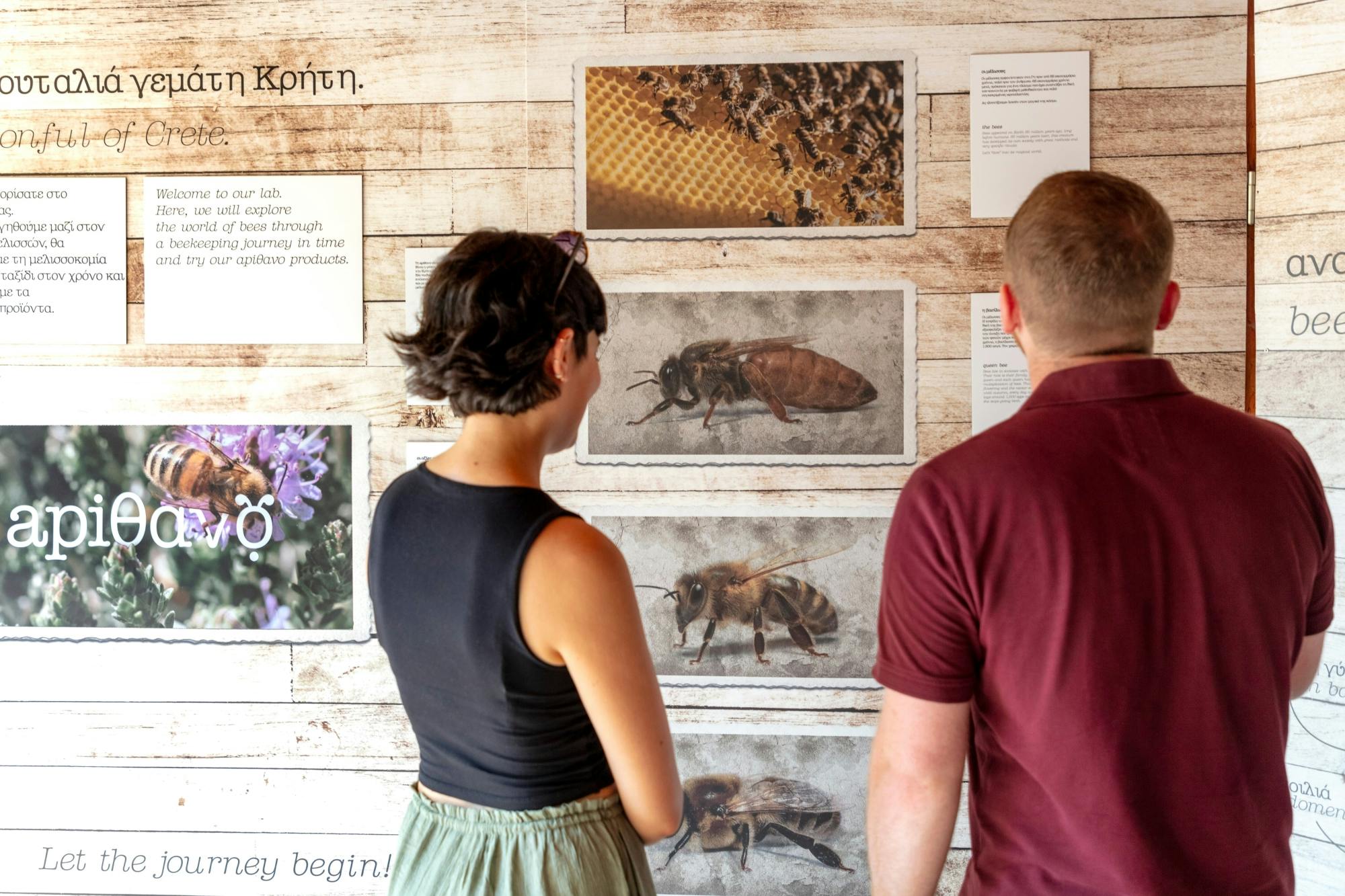 Kefalos and Zia tour including wine and honey tastings