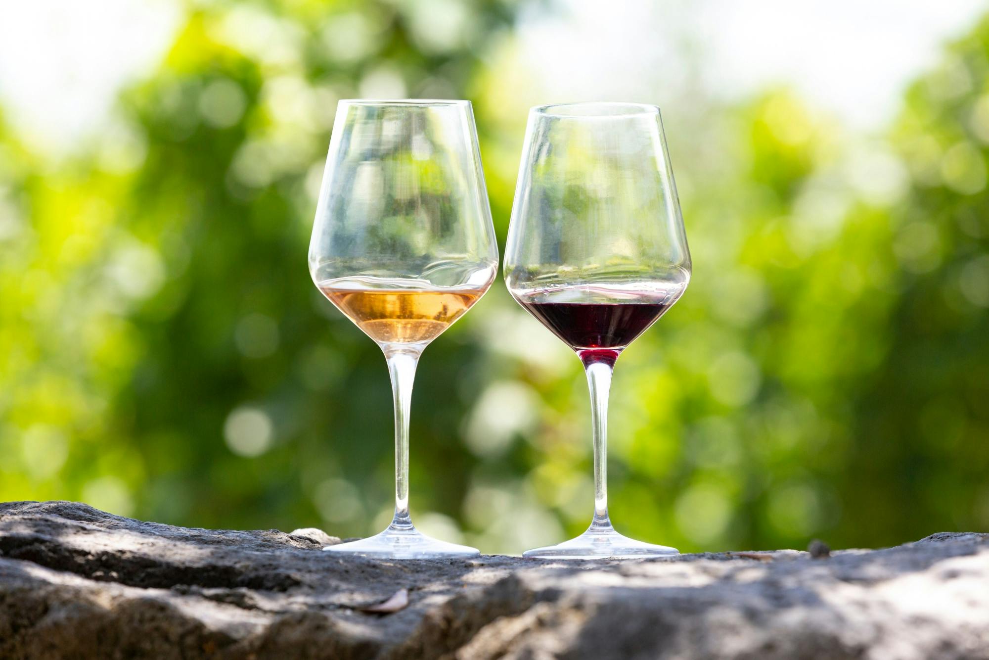 Kefalos and Zia tour including wine and honey tastings