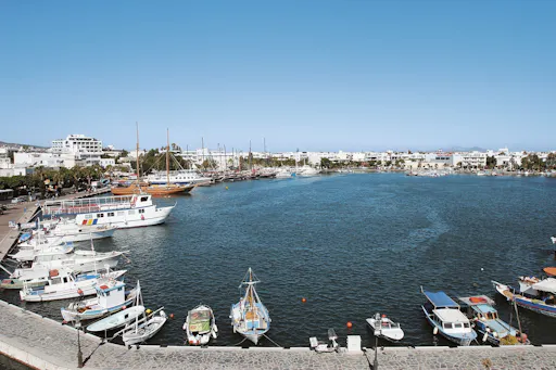 Guided tour of Kos Town, Asclepeion and Zia with wine-tasting