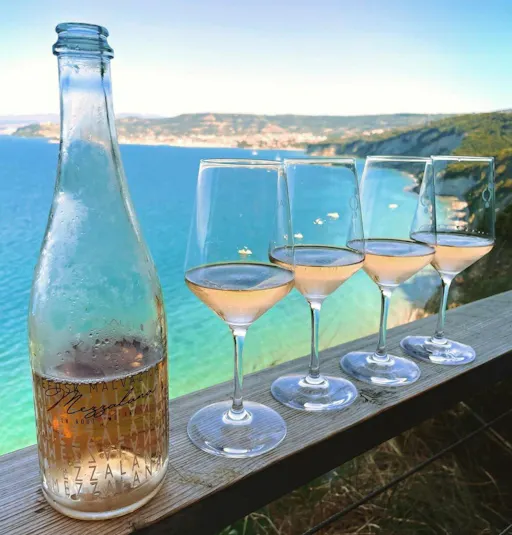 Vintage van tour through Slovenian olive groves with tastings