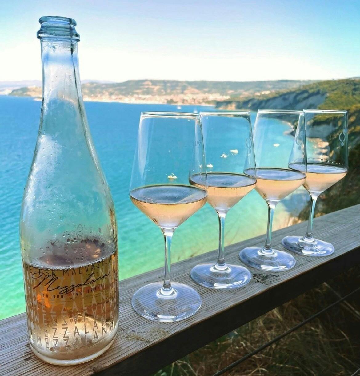 Vintage van tour through Slovenian olive groves with tastings