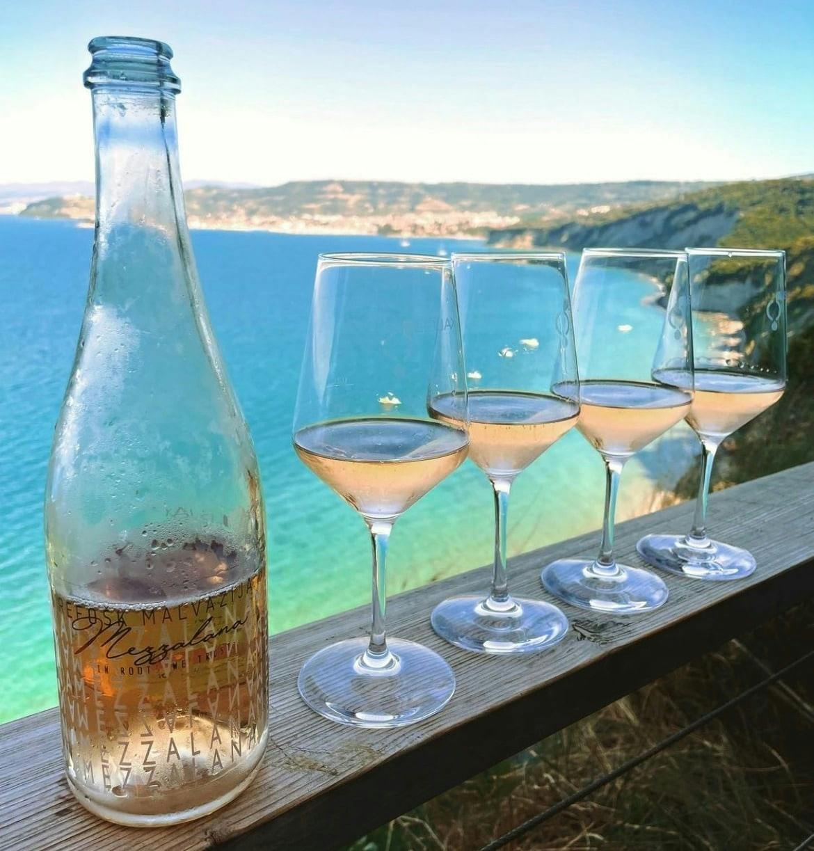 Vintage van tour through Slovenian olive groves with tastings