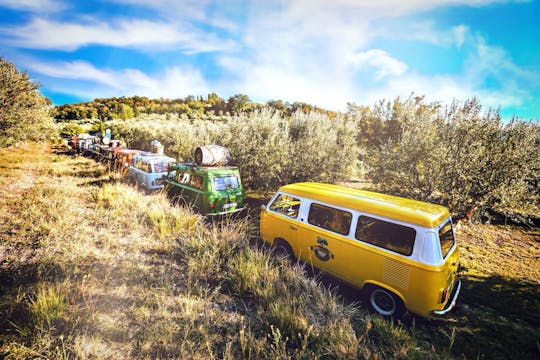 Oldtimer tour door Sloveense olijfgaarden met proeverijen