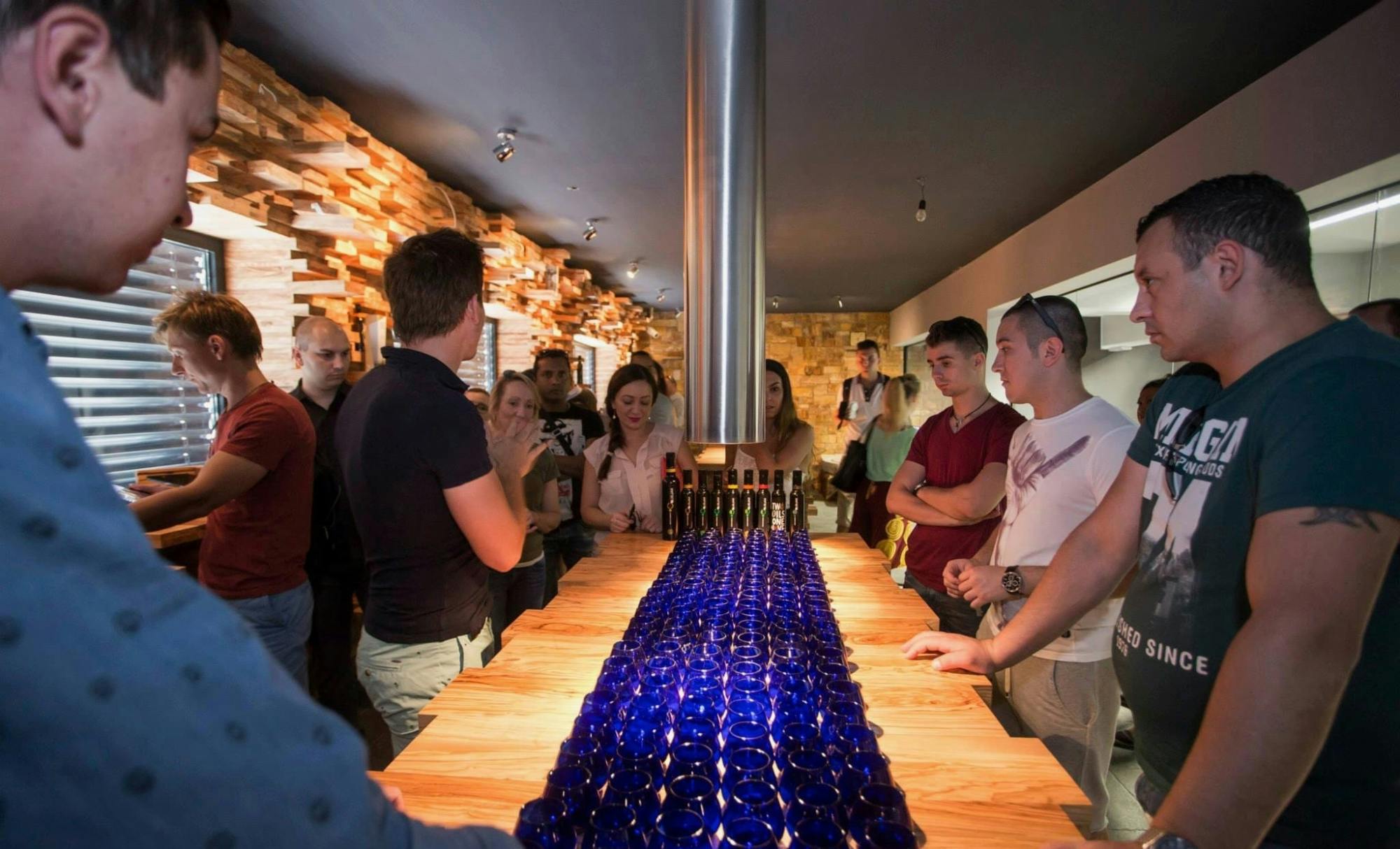 Vintage van tour through Slovenian olive groves with tastings