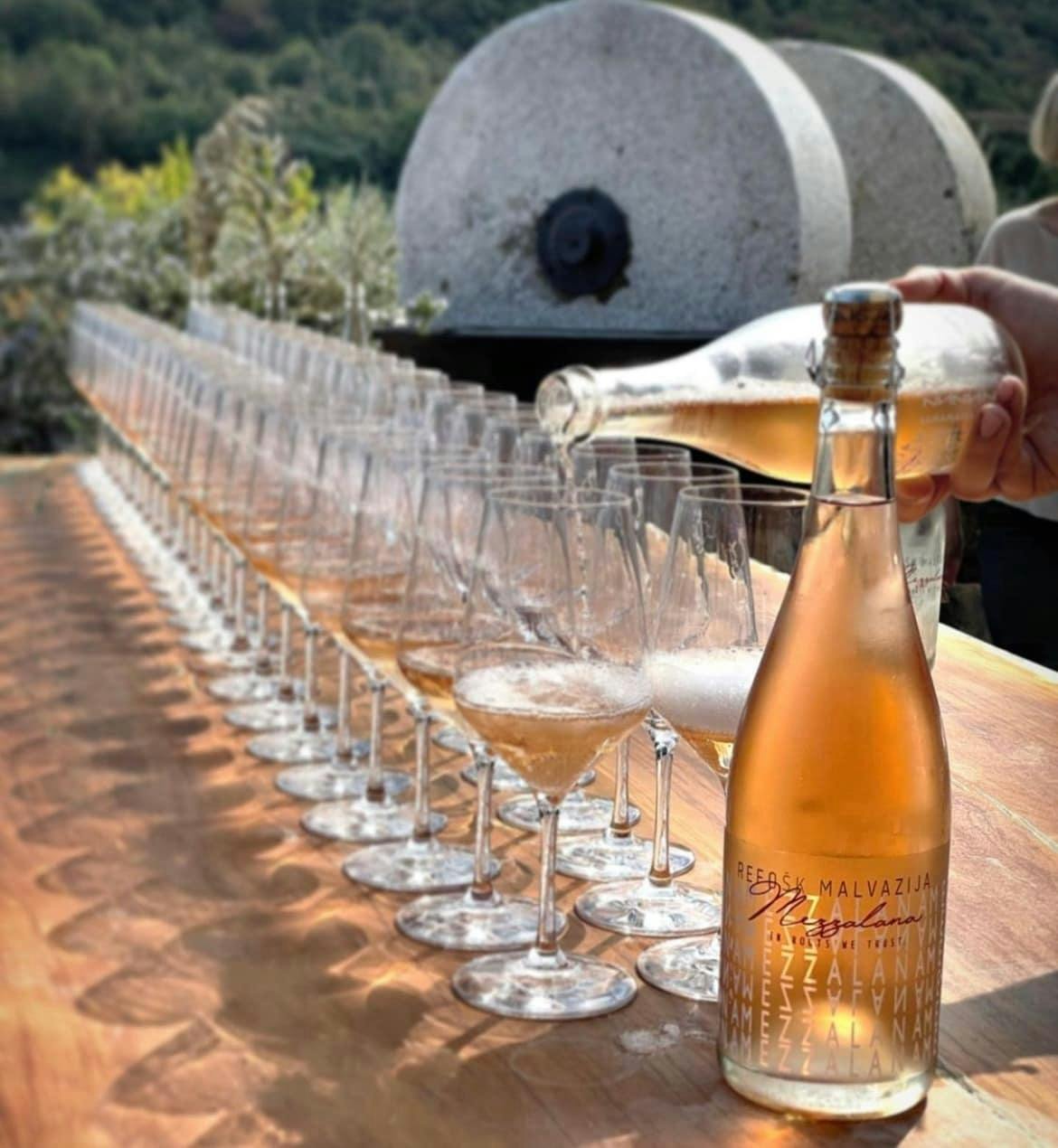 Vintage van tour through Slovenian olive groves with tastings