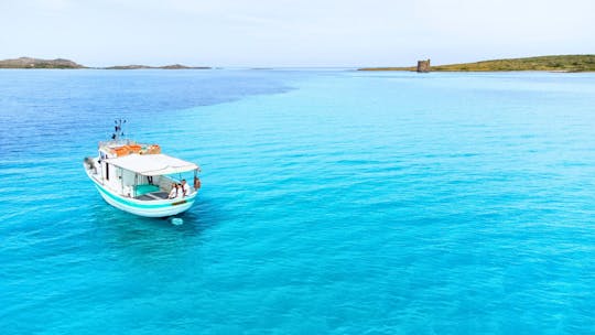 Fishing boat tour to Asinara from Stintino