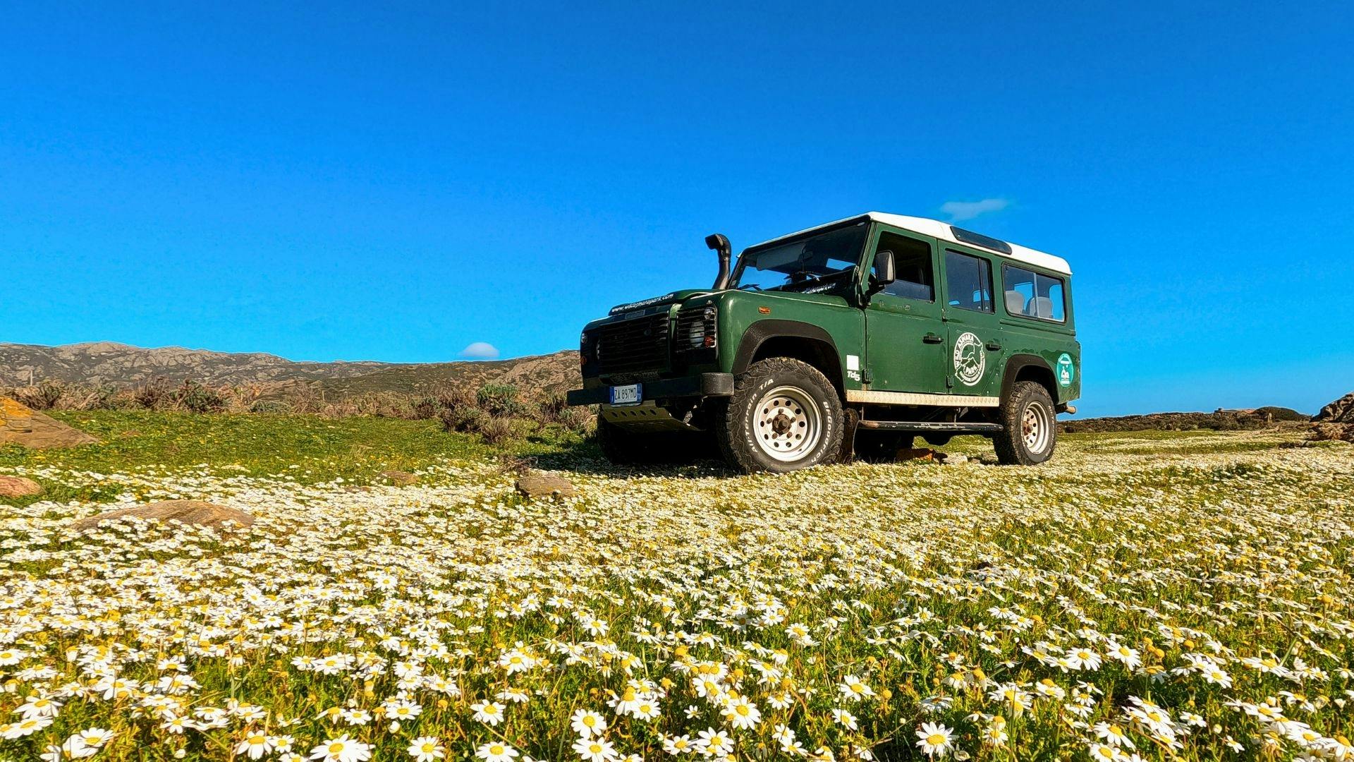 Wycieczka terenowa do Argentiera i Porto Ferro z Alghero