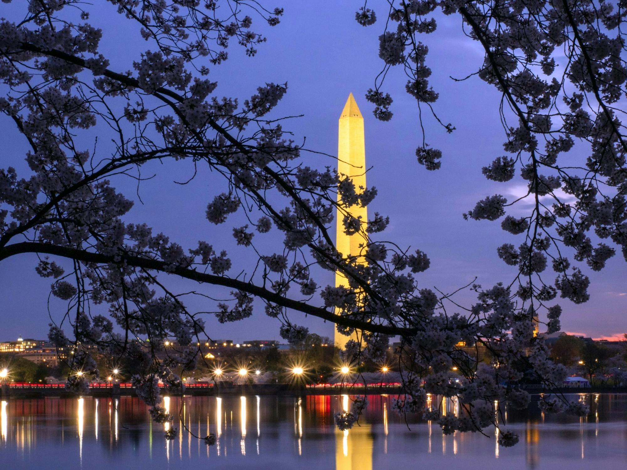DC Monuments Night Tour mit 10+ Haltestellen, Kirschblüten, Tickets