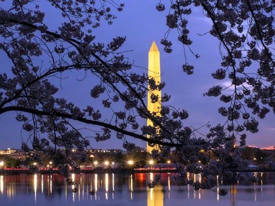 Tour notturno dei monumenti di Washington con 10 fermate e fiori di ciliegio